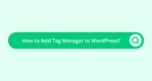 How to Add Tag Manager to WordPress?