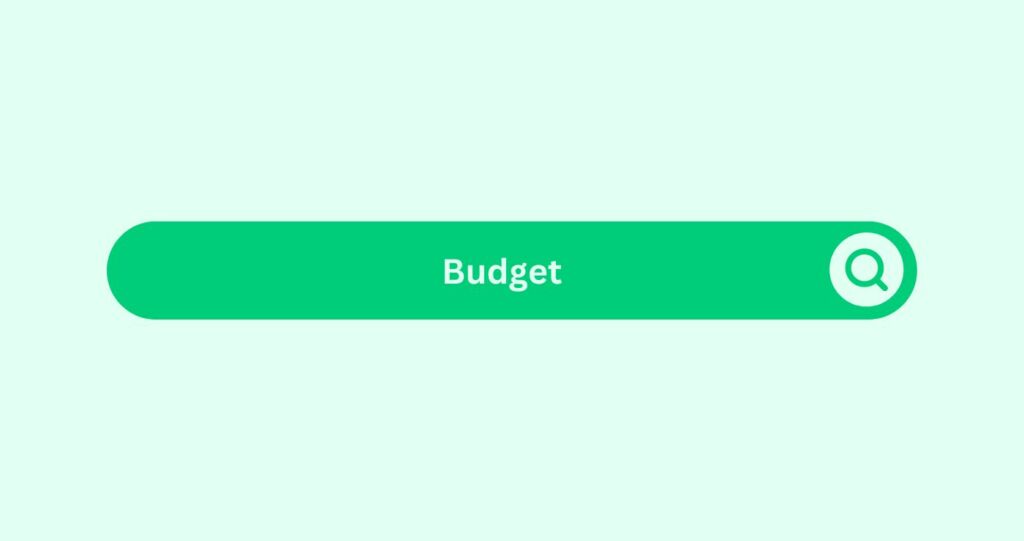 Budget - Marketing Glossary