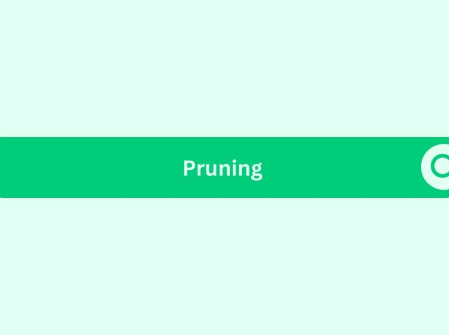Pruning- Marketing Glossary