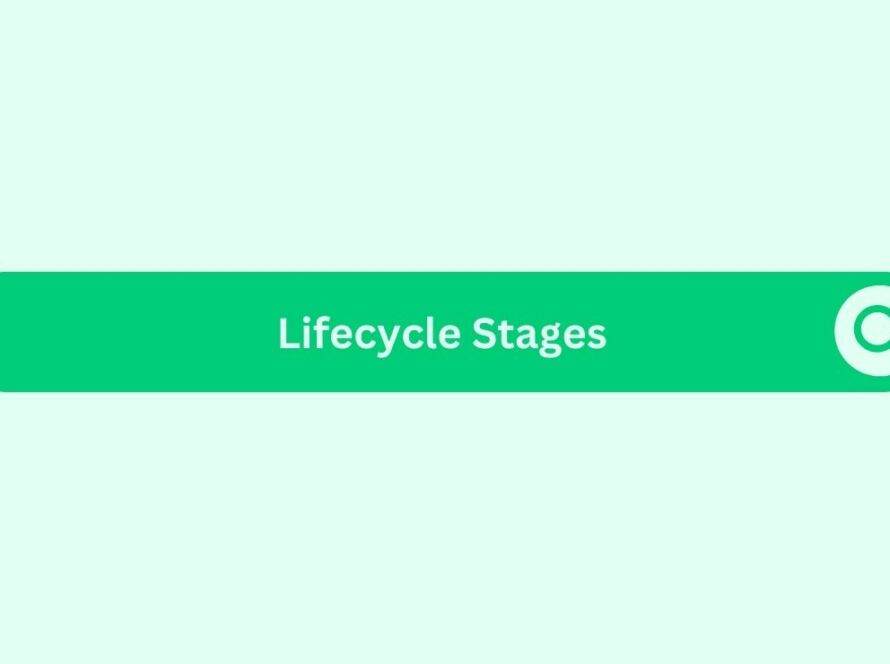 Lifecycle-Stages- Marketing Glossary