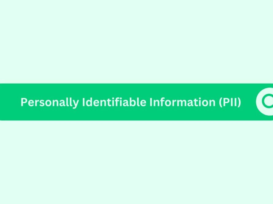 Personally-identifiable-information-PII- Marketing Glossary