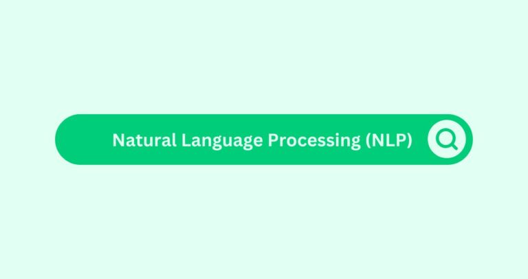 Natural Language Processing (NLP)