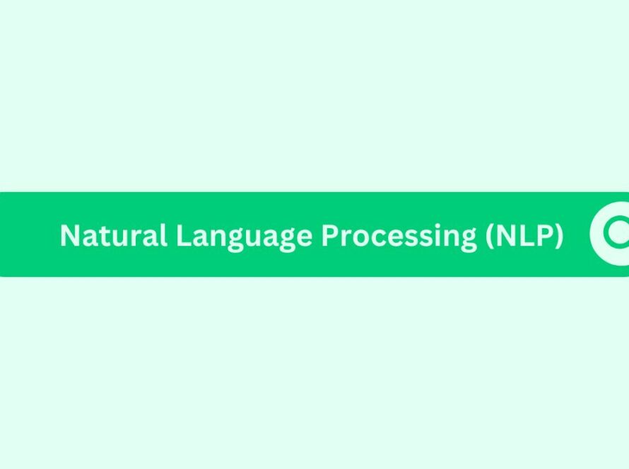Natural Language Processing (NLP)