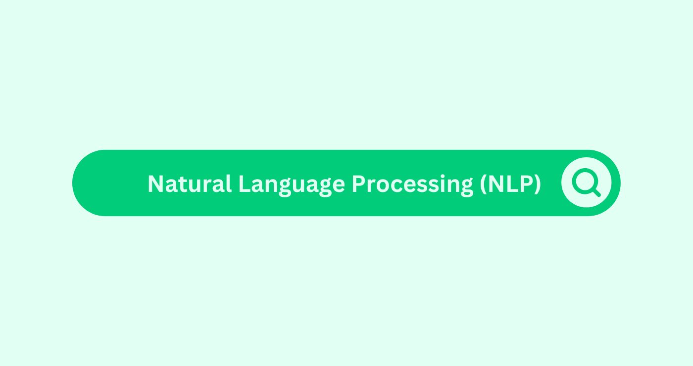 Natural Language Processing (NLP)