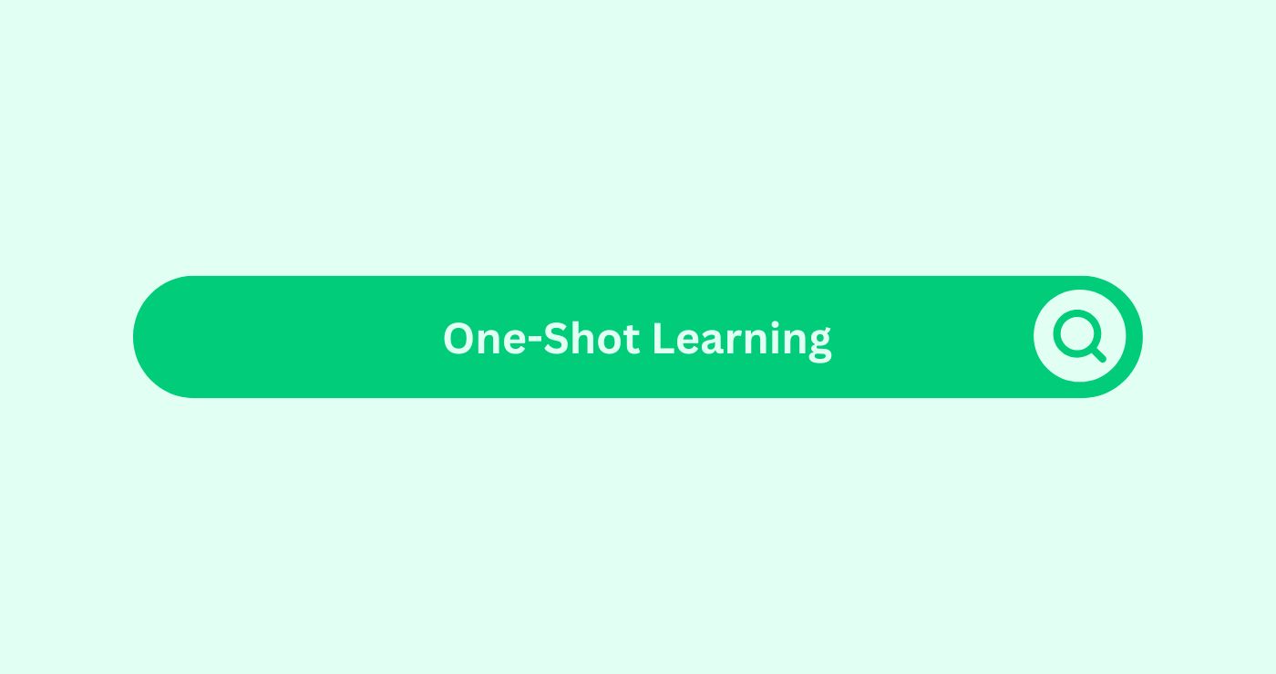 One-Shot Learning