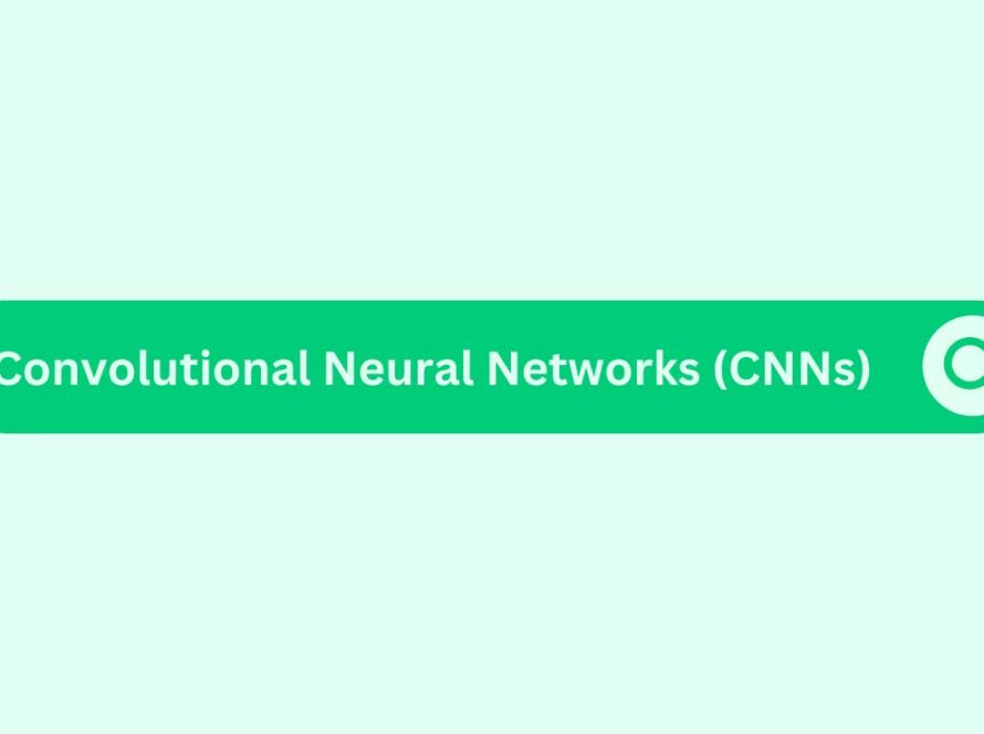 Convolutional Neural Networks (CNNs)
