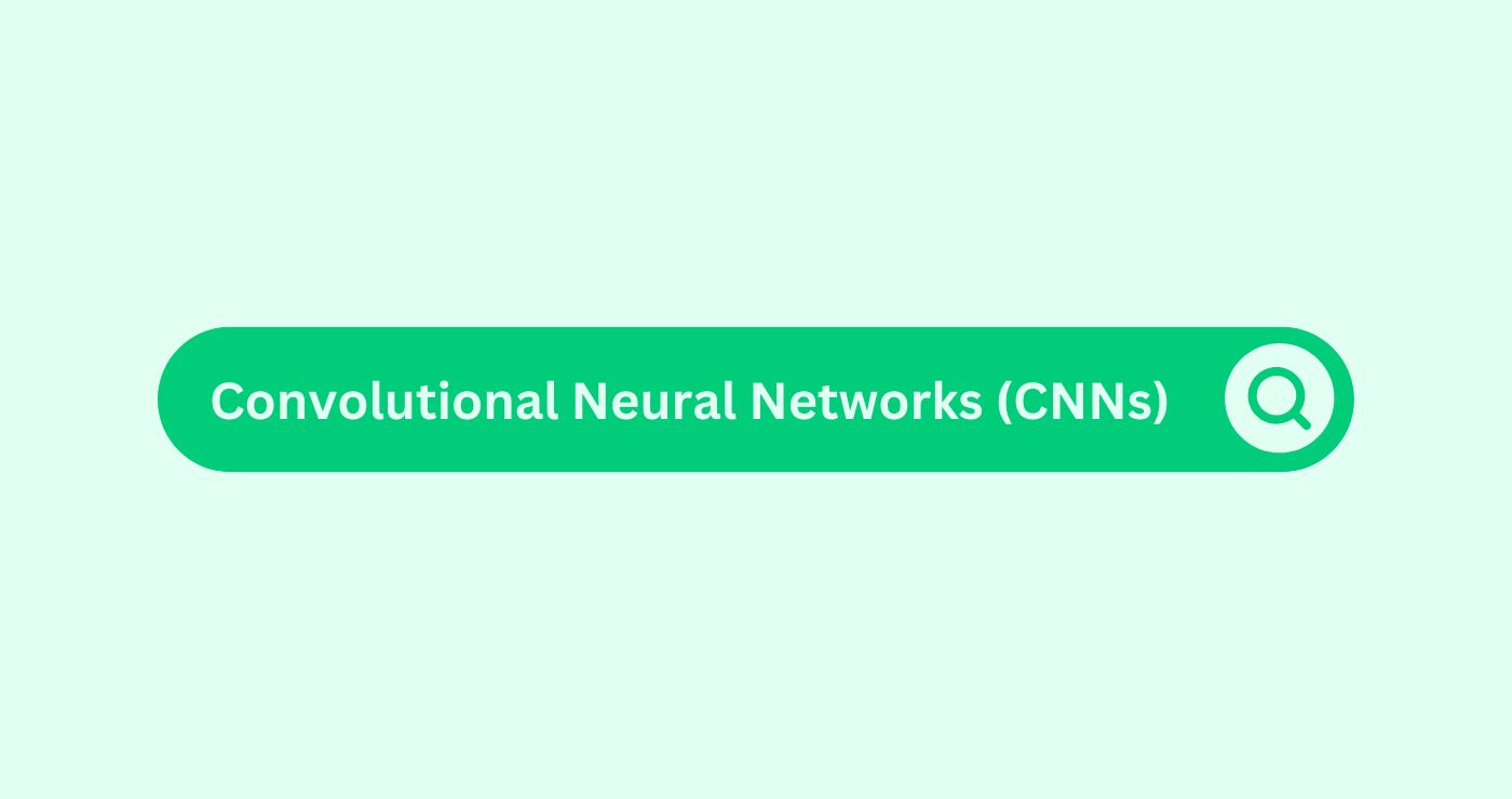 Convolutional Neural Networks (CNNs)