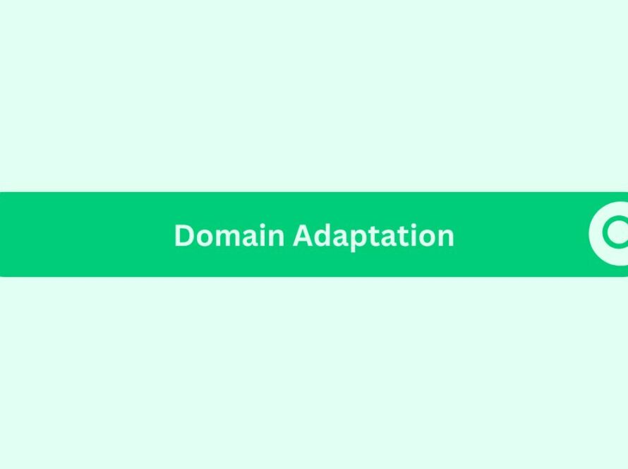 Domain Adaptation