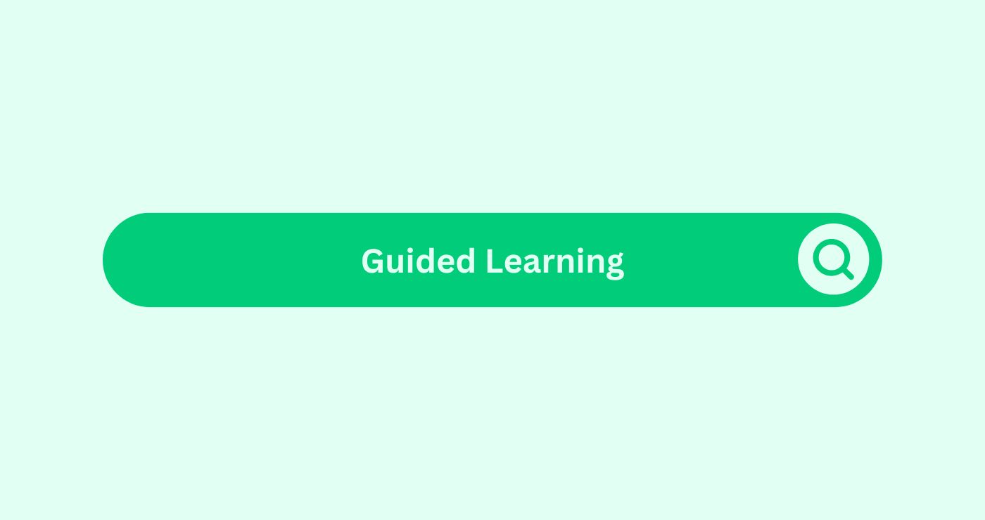 Guided Learning