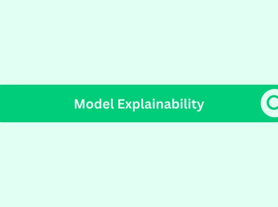 Model Explainability